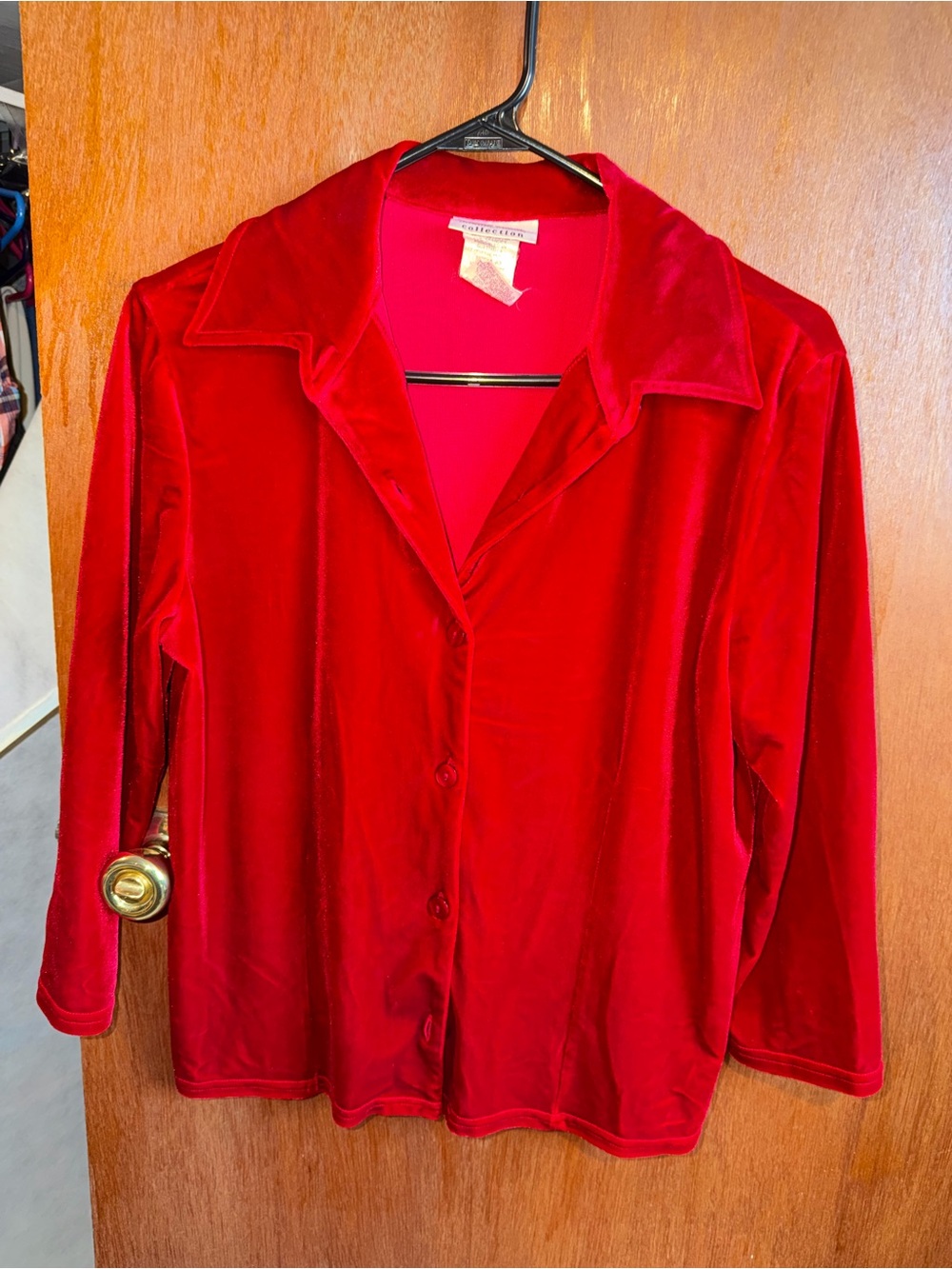 Kathie Lee Collection Red Velvet Button-Down Shirt